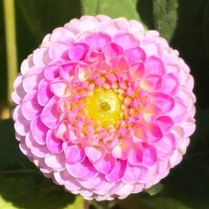 Meet your Posher, Hui